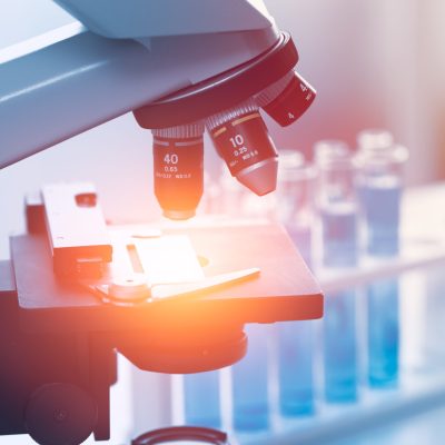 dreamstime_m_117615504 dreamstime_m_117615504